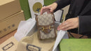 Bolsa Gucci
