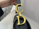 Bolsa Dior Saddle